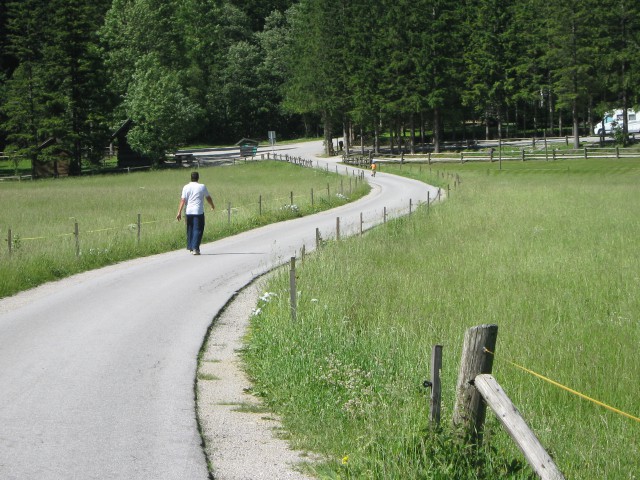 Logarska dolina-junij2009 - foto