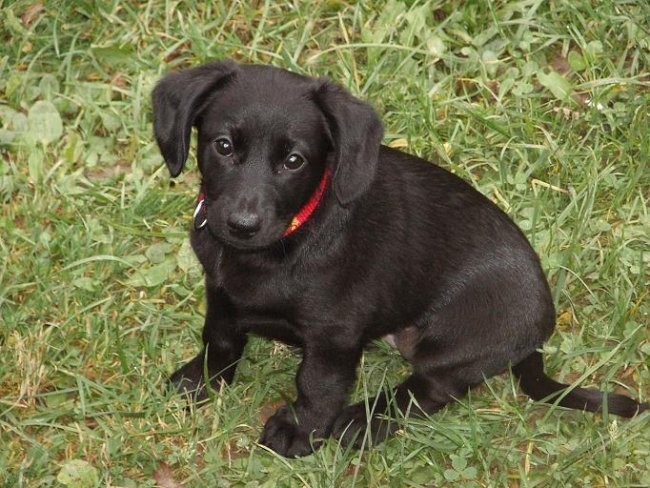 luna stara 2.5 meseca