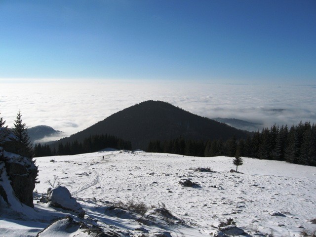 Plešivec