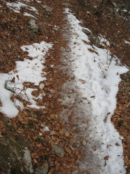 zahrbtno - led in sneg pod listjem v spodnjem delu poti