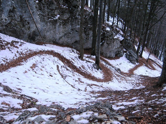 Kača iz listja, snega in ledu v zgornjem delu Dolskega grabna