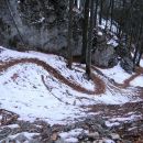 kača iz listja, snega in ledu v zgornjem delu Dolskega grabna