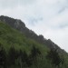 Žagarske orglice