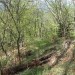 čistina, kjer skromna stezica za hip izgine