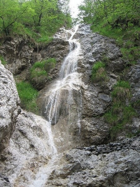 Korošakom pa zdajle vode res ne manjka