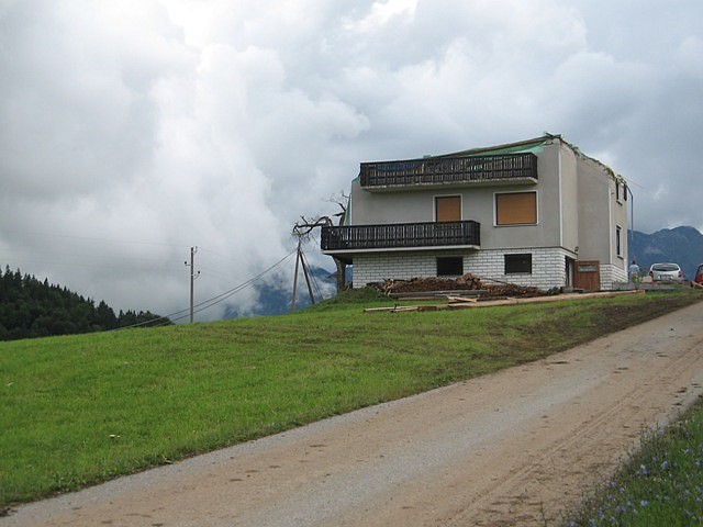 Črnivec, Gozd 14.7. 08 - foto