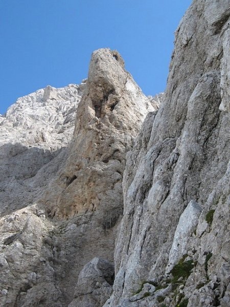 Rdeči kup