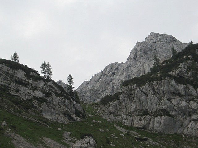 Proti melišču