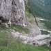 Grlo od zgoraj