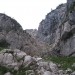 Grlo