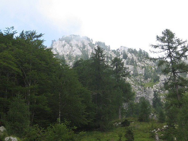 Mokrica