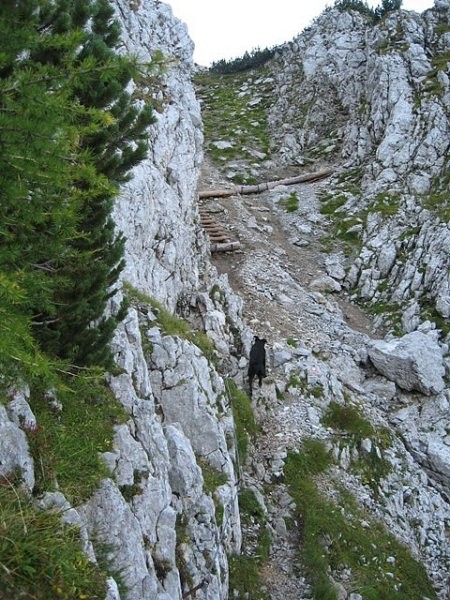 stopničke