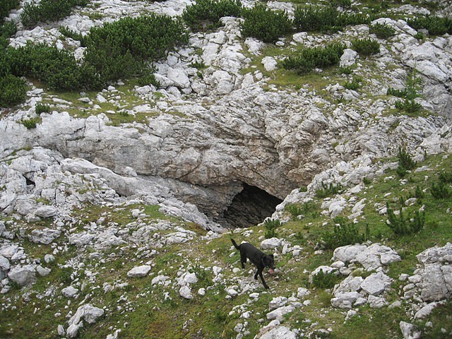 mimo spodmola