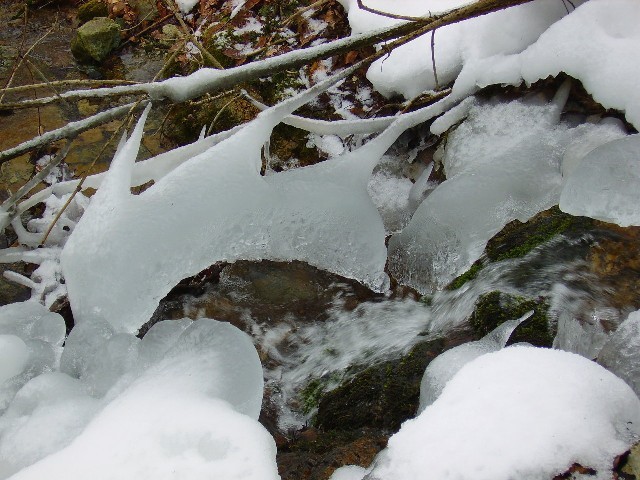 Ledene tvorbe v potoku