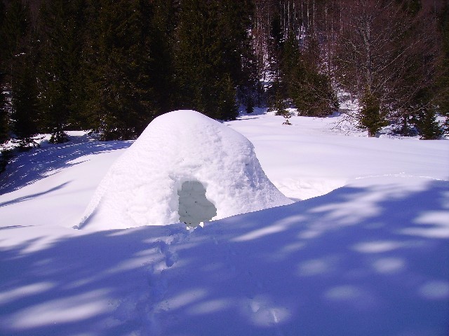 še vztraja - iglu na dolu