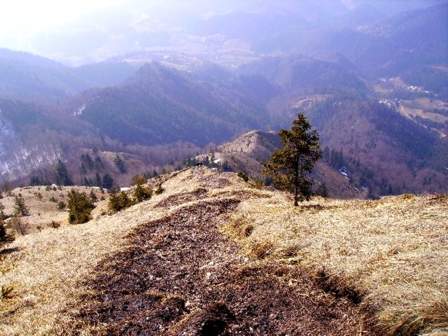 Bosova šija navzdol