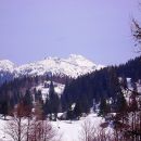 velika planina