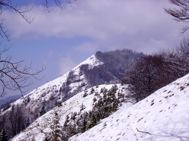 kamniški vrh z vzhoda