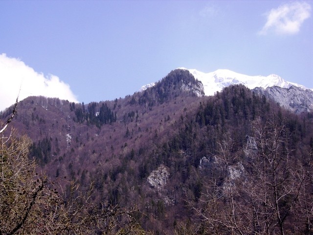 Spet me kliče - kamniški dedec