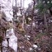 strmo - bolj kot je videti - tik pred izstopom na greben