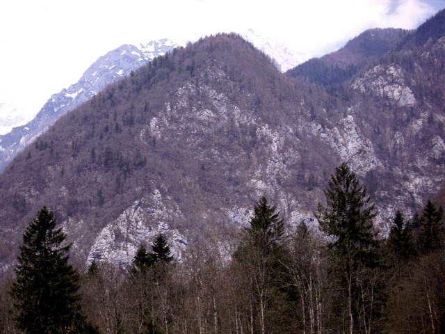 Pogled na mešenik s kopišč - pa dostop ni s te strani