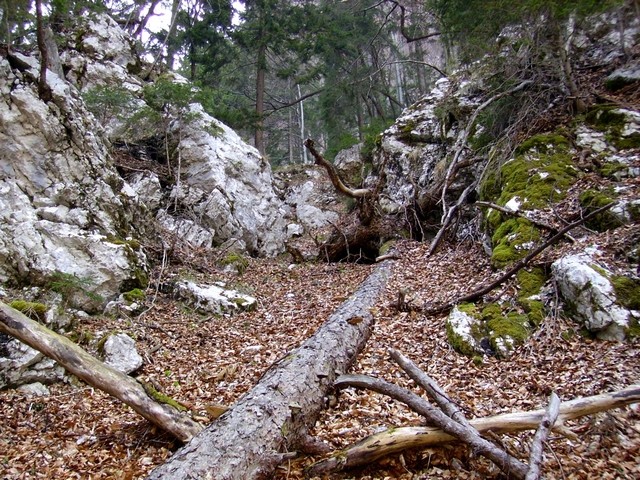 Skalna ožina nekje na sredi dolinice