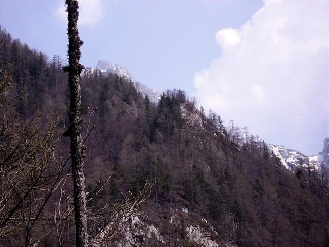 špegarca - slikana dva dni prej