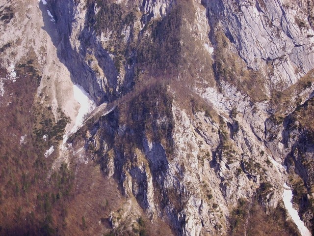 Mravljinčev rob