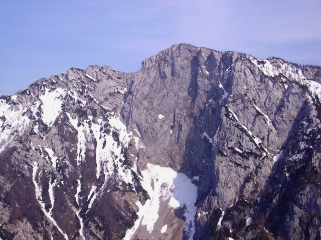 Rzenik