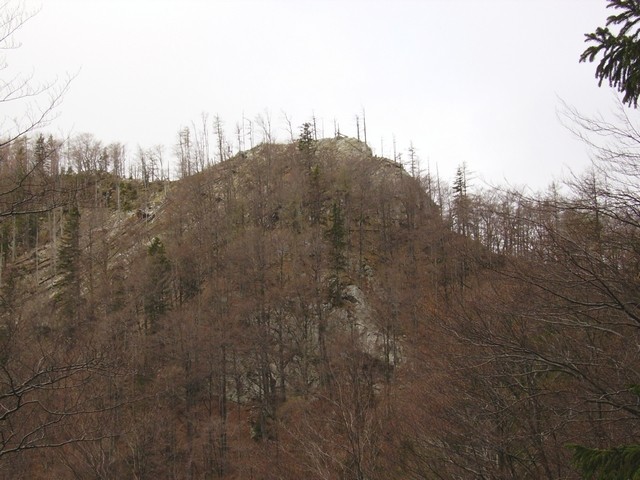 Kopa