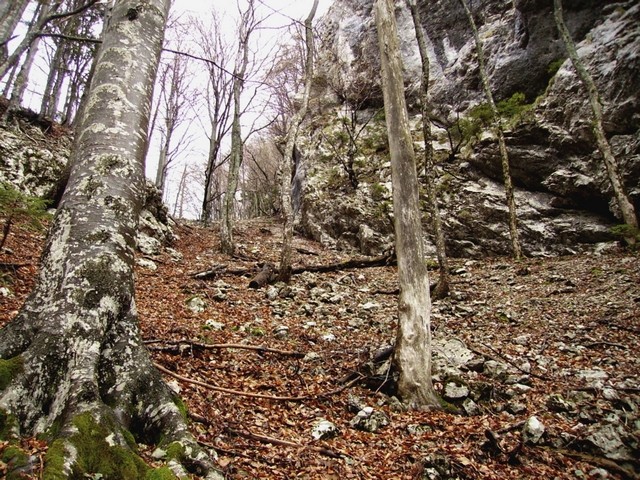 Levo na kopo, desno proti varvanju