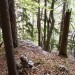mešeniški grebeni - tale je prav prijazen