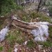 nekdo je takole označil - tudi za naju