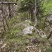 na grebenu pred prečenjem v levo