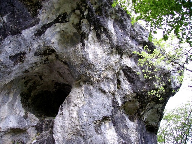 Kako luštno so zaobljene 