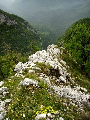 Zna biti tudi ostra
