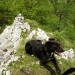 prav dosti osvajalcev na enkrat ne prenese