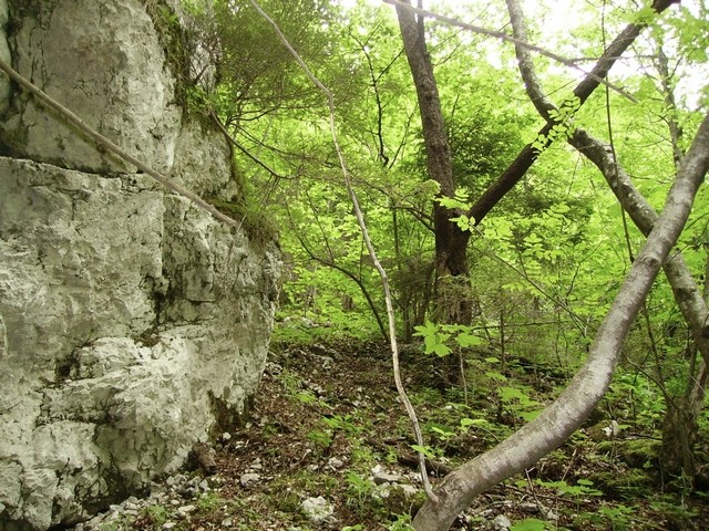 Po strmini navzgor