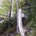 zanimiva, ampak nazaj v grapo bo treba