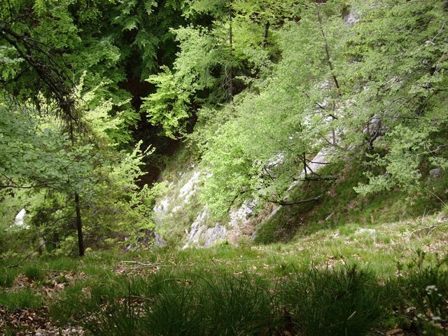 Grapa nad skokom