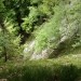 grapa nad skokom