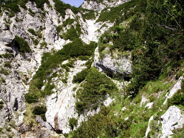 Mimo spodmola in navzgor
