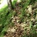 stezica vodi v Matkovo krnico - njen začetek je težko najti