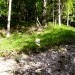 se ga splača poiskati - za njim navzgor na gornji krak ceste
