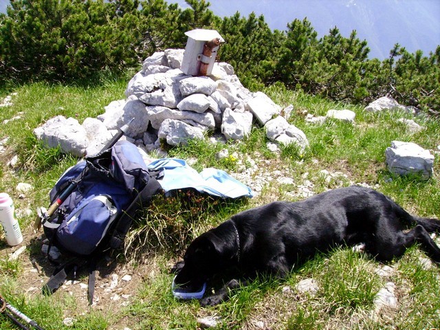  Mokrica iz Kurje doline mimo Velba 27.6.06 - foto