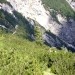 od zgoraj navzdol - macesen in jerebika sta na vrhu Velba
