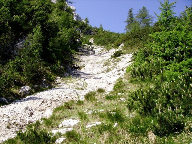 ...in v grapo na desni