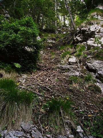 Kratek a 