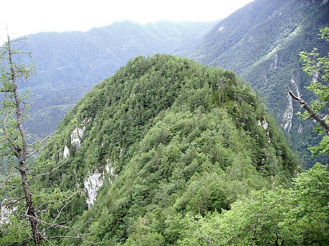 Kakšen pogled na Mešenik