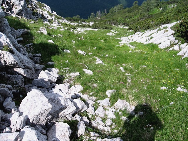 Sestop navzdol in levo na označeno stezico